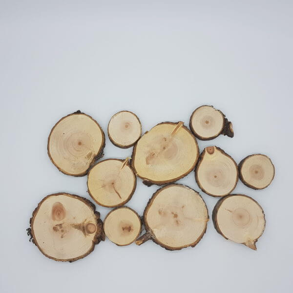 Zirbenholz Baumscheiben