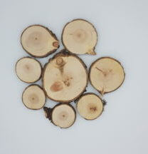 Baumscheiben aus Zirbenholz