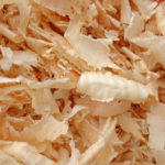 Zirbenspäne luftgetrocknet und frisch gehobelt